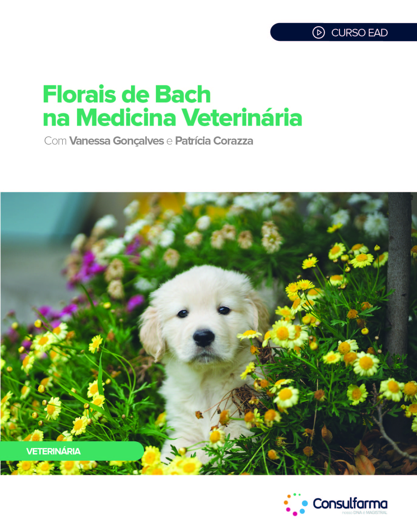 Florais de Bach na Medicina Veterinária
